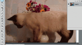 Картинка по теме - как изменить видео в фотошопе