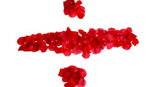 Картинка по теме - как делить числа