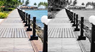 Картинка по теме - как обесцветить фото