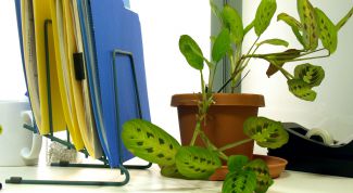 Картинка по теме - как сдавать налоговые отчеты