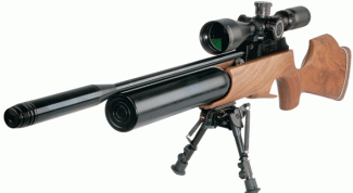 Картинка по теме - как купить пневматическую винтовку