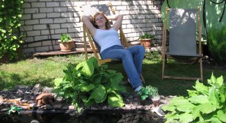 Картинка по теме - как купить садовый участок