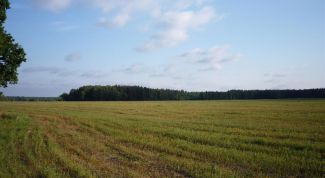 Картинка по теме - как оценить стоимость земли