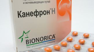 Картинка по теме - как принимать канефрон до или после еды