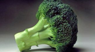Картинка по теме - как жарить брокколи