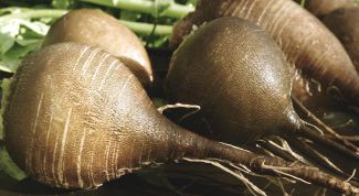 Картинка по теме - как приготовить салат из редьки