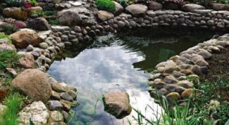 Картинка по теме - как осушить болото