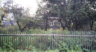 Картинка по теме - как оформить земельную долю