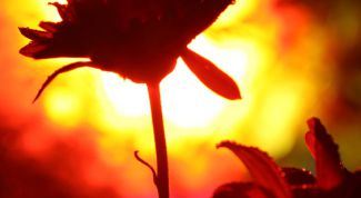 Картинка по теме - как снимать закат