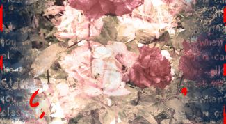 Картинка по теме - как переместить одну картинку на другую в photoshop