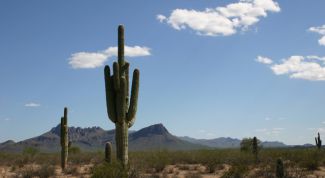 Картинка по теме - как нарисовать пустыню