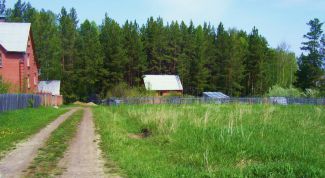 Картинка по теме - как получить кадастровый номер земельного участка 