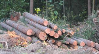 Картинка по теме - как выбрать брус