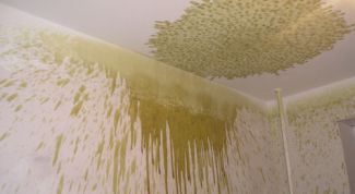 Картинка по теме - как вывести пятна с потолка