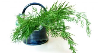 Картинка по теме - как сохранить укроп