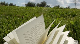 Картинка по теме - как научиться понимать книги