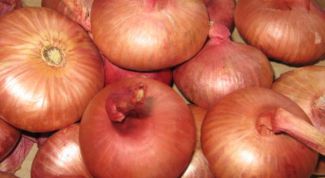 Картинка по теме - как замочить лук