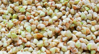 Картинка по теме - как прорастить гречку