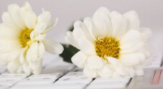 Картинка по теме - как ввести пароль без клавиатуры