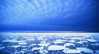 Картинка по теме - как попасть на cеверный полюс