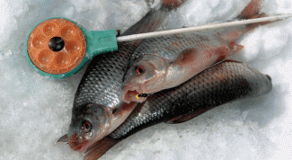 Картинка по теме - как оборудовать зимнюю удочку