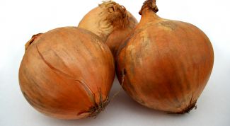 Картинка по теме - как хранить лук зимой