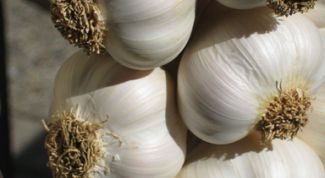 Картинка по теме - как приготовить чесночное масло