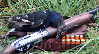 Картинка по теме - как оформить охотничий билет