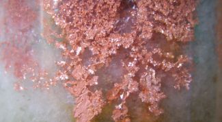 Картинка по теме - как вырастить кристалл меди