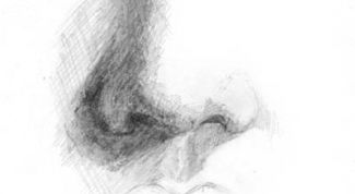 Картинка по теме - как научиться рисовать нос