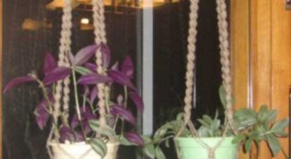 Картинка по теме - как сплести кашпо