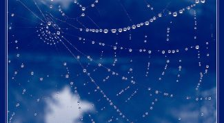 Картинка по теме - как найти точку росы