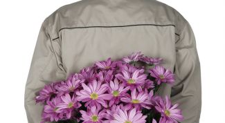 Картинка по теме - как определить, что парень в тебя влюблен