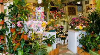 Картинка по теме - как назвать магазин цветов