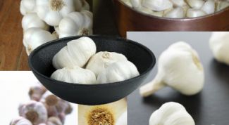 Картинка по теме - как хранить чеснок зимой