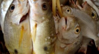 Картинка по теме - как приготовить барабульку