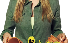 Картинка по теме - как опылять цветы