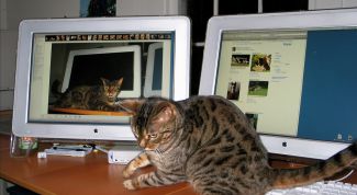 Картинка по теме - как создать учетную запись пользователя