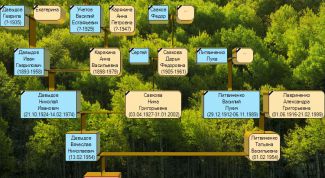 Картинка по теме - как рисовать генеалогическое древо