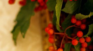 Картинка по теме - как заварить калину