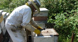 Картинка по теме - как очистить прополис