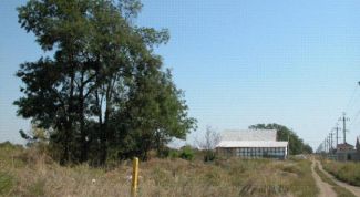 Картинка по теме - как оформить сервитут