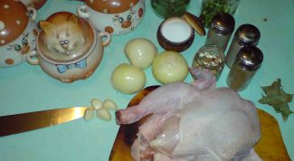 Картинка по теме - как убрать запах у курицы