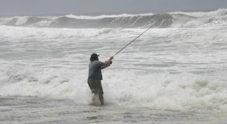 Картинка по теме - как поймать белугу