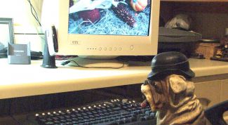 Картинка по теме - как сделать фоновый рисунок на весь экран