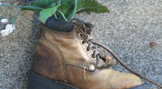 Картинка по теме - как убрать запах из ботинок