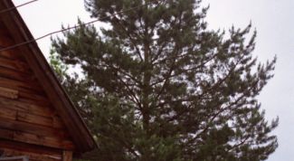 Картинка по теме - как подвести электричество на участок