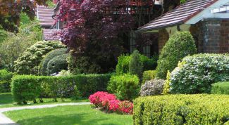 Картинка по теме - как оформить садовый участок в собственность