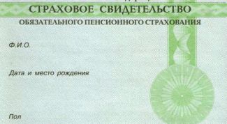 Картинка по теме - как узнать страховой номер