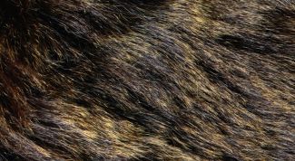 Картинка по теме - как шить искусственный мех